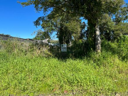 Terreno 363,48 m² - Riviera